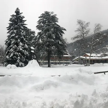 Olympic Regina Пинцоло